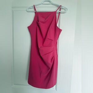 Dynamite Fuchsia Mini Dress